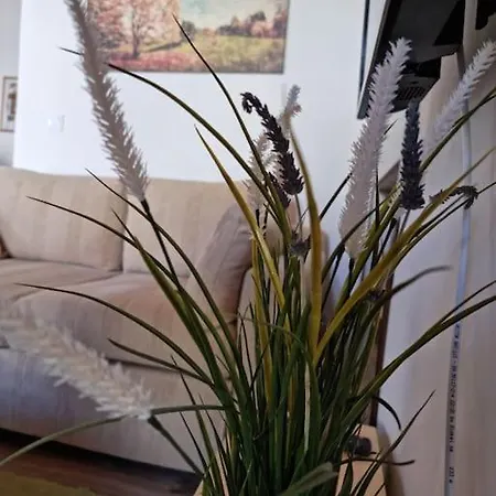 Gs Apartment