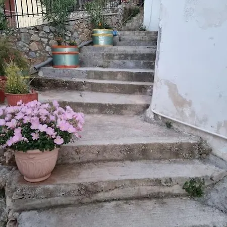 Gs